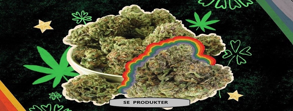CBD shoppen